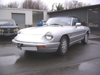 Alfa Romeo Spider serie 4 gris